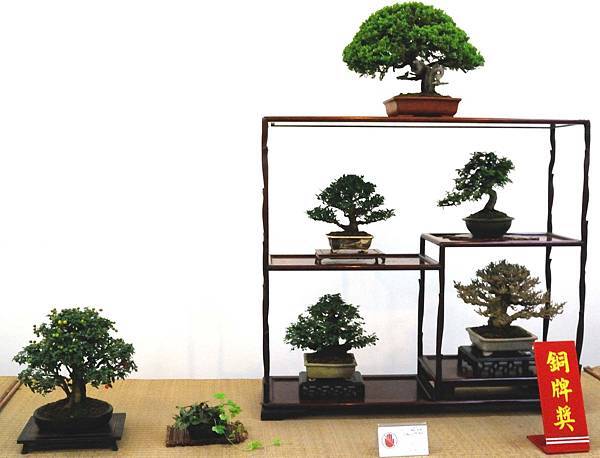 DSC_6910.jpg DSC_6910.jpg