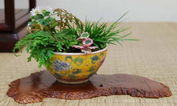 DSC_6908.jpg DSC_6908.jpg