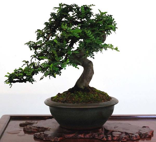 DSC_6914.jpg DSC_6914.jpg