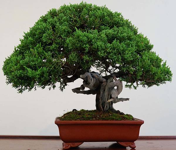 DSC_6913.jpg DSC_6913.jpg