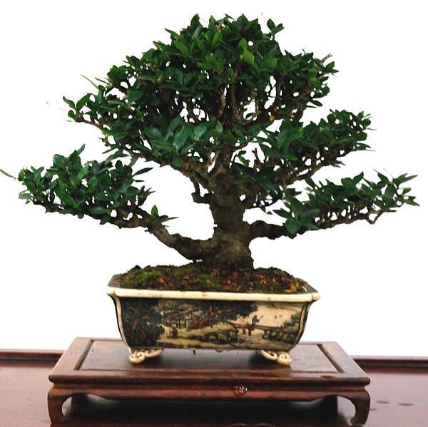 DSC_6917.jpg DSC_6917.jpg