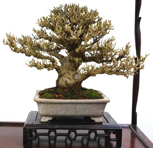 DSC_6920.jpg DSC_6920.jpg