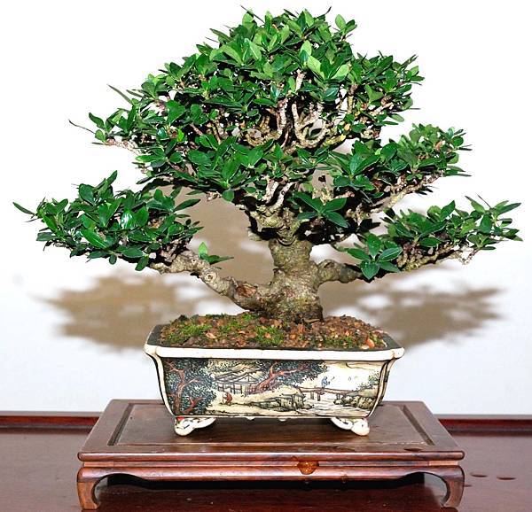 DSC_6919.jpg DSC_6919.jpg