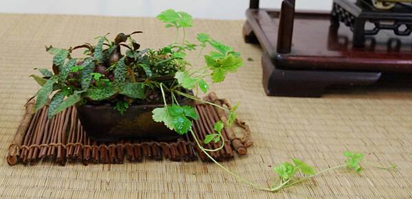 DSC_6926.jpg DSC_6926.jpg