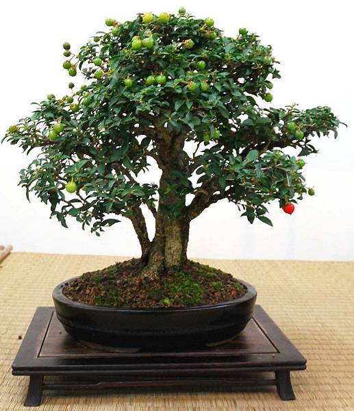 DSC_6925.jpg DSC_6925.jpg