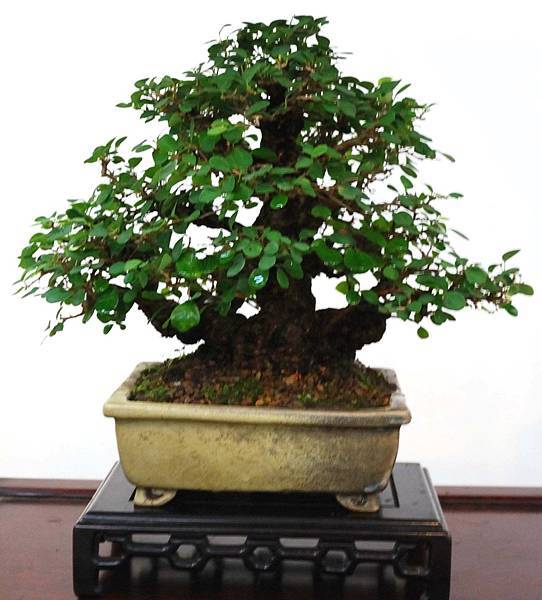 DSC_6922.jpg DSC_6922.jpg