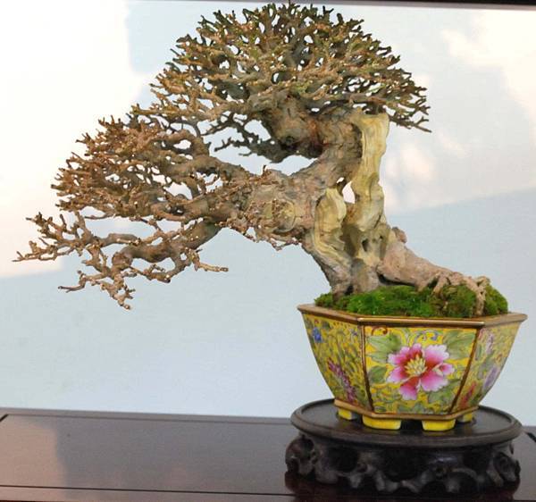 DSC_6933.jpg DSC_6933.jpg