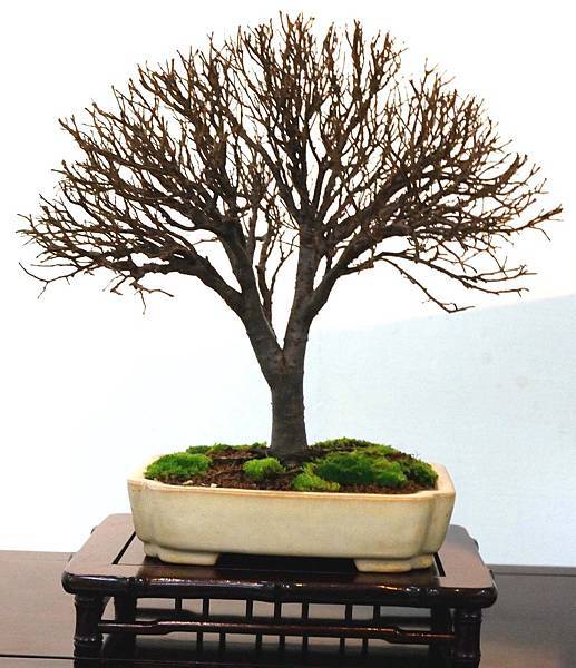 DSC_6935.jpg DSC_6935.jpg