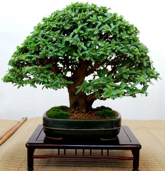 DSC_6941.jpg DSC_6941.jpg