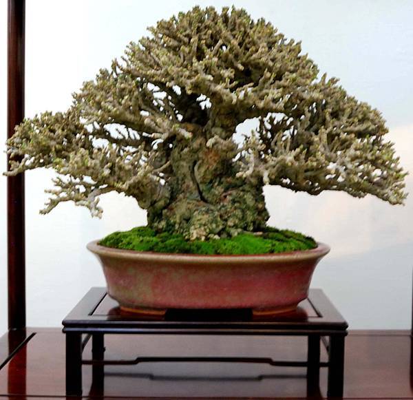 DSC_6938.jpg DSC_6938.jpg