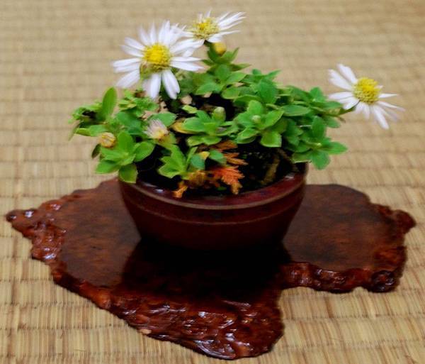 DSC_6943.jpg DSC_6943.jpg