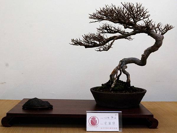 DSC_6945.jpg DSC_6945.jpg