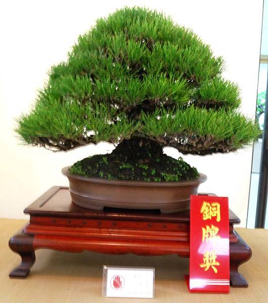 DSC_6952.jpg DSC_6952.jpg