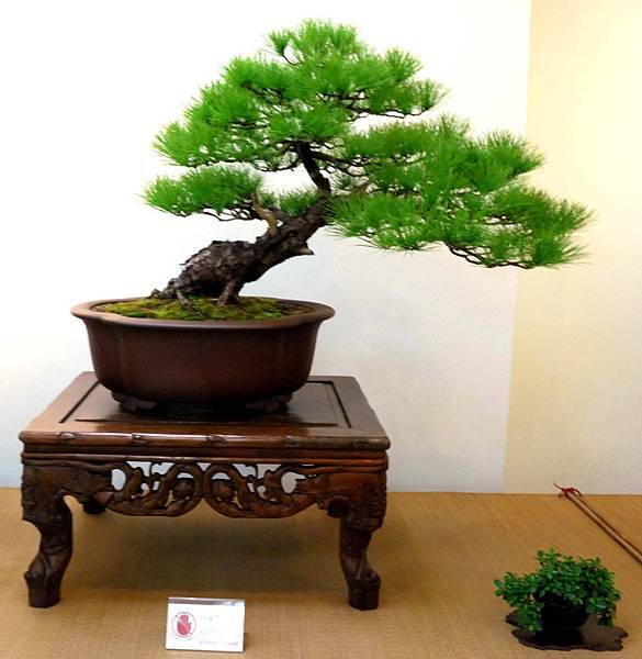 DSC_6949.jpg DSC_6949.jpg