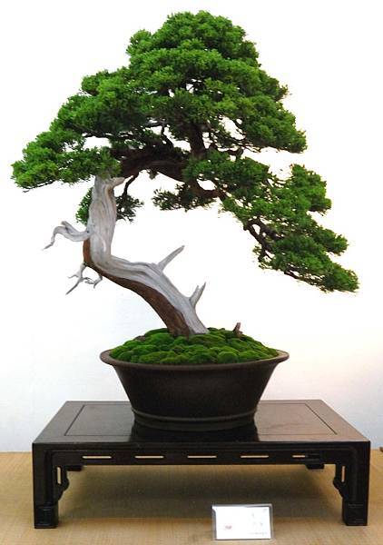 DSC_6947.jpg DSC_6947.jpg