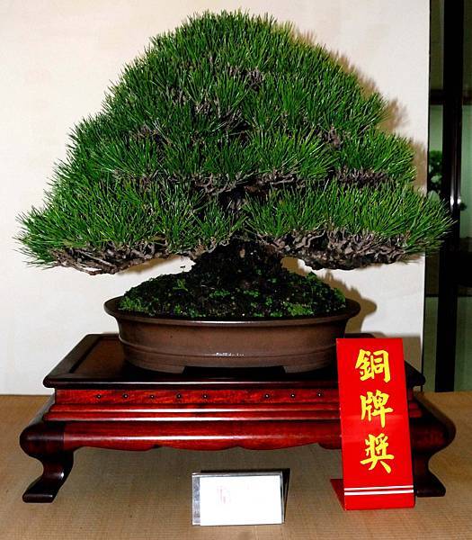 DSC_6954.jpg DSC_6954.jpg