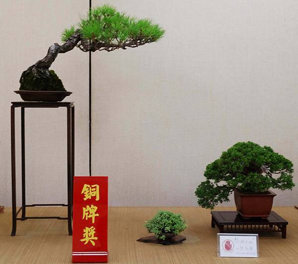 DSC_6961.jpg DSC_6961.jpg