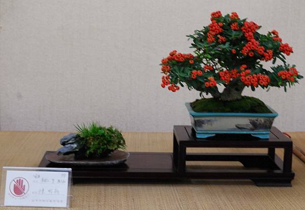 DSC_6964.jpg DSC_6964.jpg