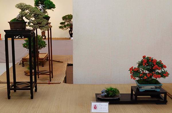 DSC_6965.jpg DSC_6965.jpg