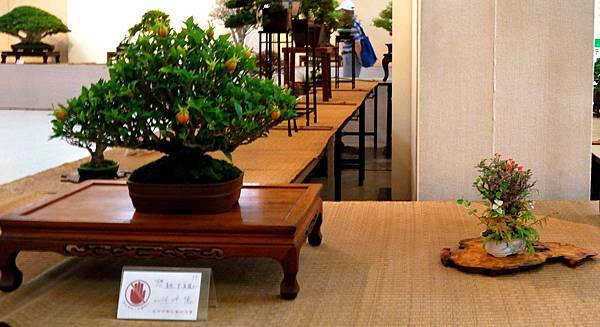 DSC_6967.jpg DSC_6967.jpg