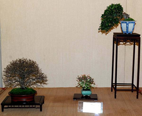 DSC_6972.jpg DSC_6972.jpg