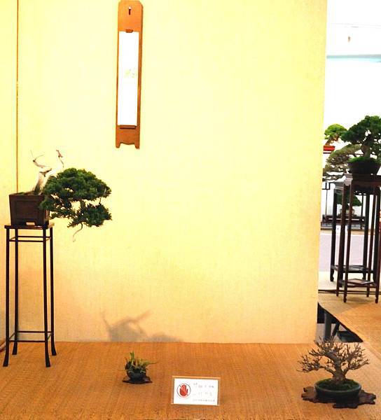 DSC_6969.jpg DSC_6969.jpg