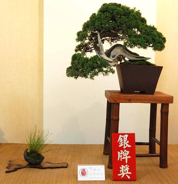 DSC_6976.jpg DSC_6976.jpg