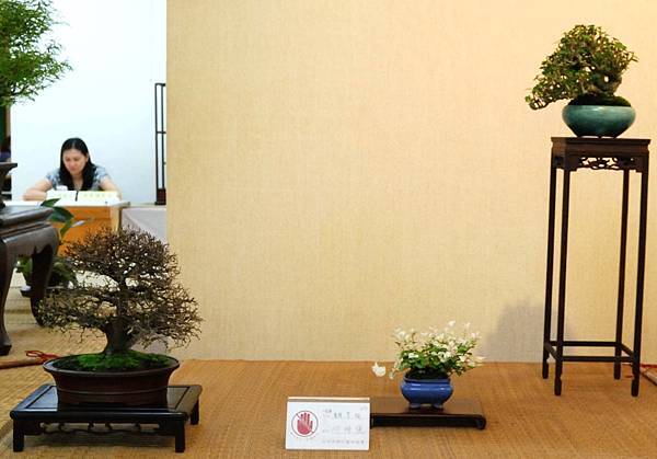 DSC_6978.jpg DSC_6978.jpg