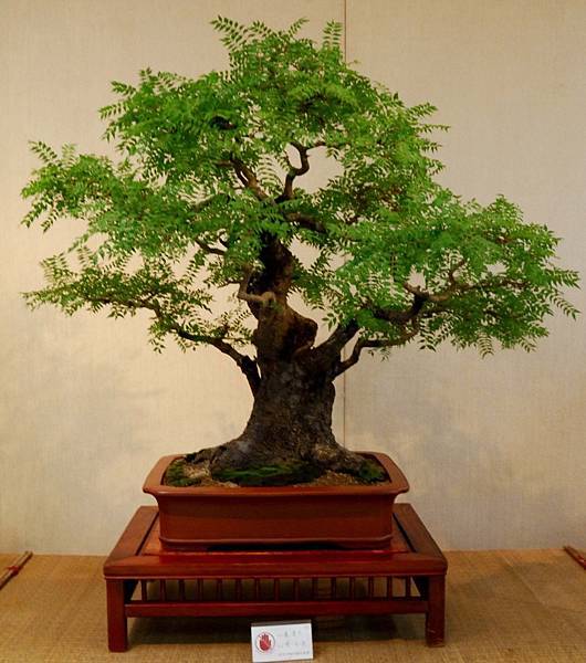 DSC_6983.jpg DSC_6983.jpg