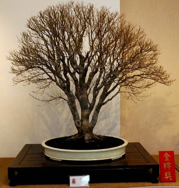 DSC_6986.jpg DSC_6986.jpg