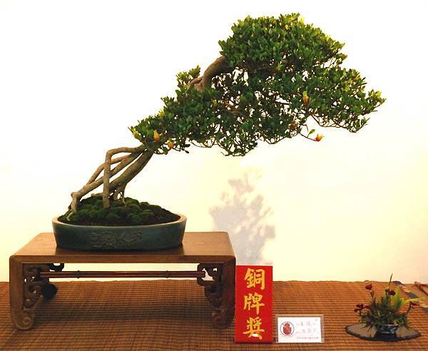 DSC_6987.jpg DSC_6987.jpg