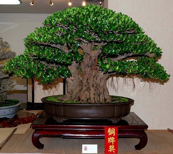 DSC_7000.jpg DSC_7000.jpg