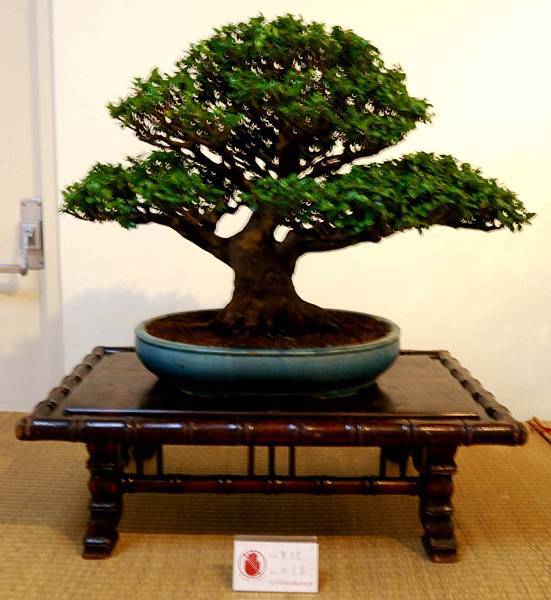 DSC_7015.jpg DSC_7015.jpg