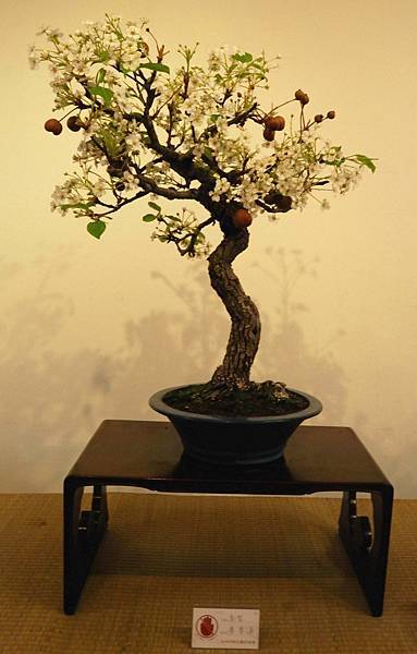 DSC_7018.jpg DSC_7018.jpg