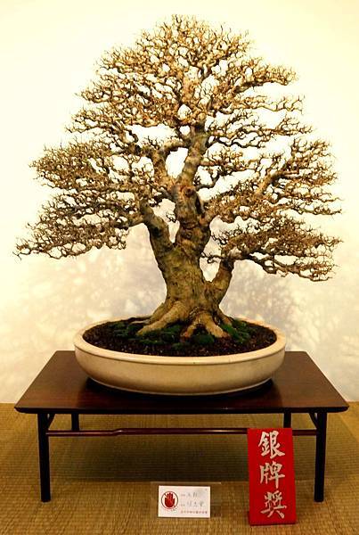 DSC_7023.jpg DSC_7023.jpg