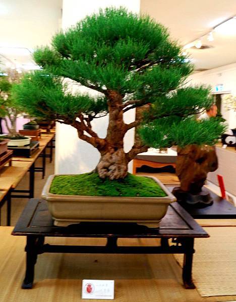 DSC_7027.jpg DSC_7027.jpg