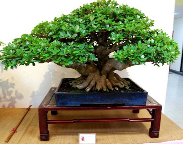 DSC_7030.jpg DSC_7030.jpg