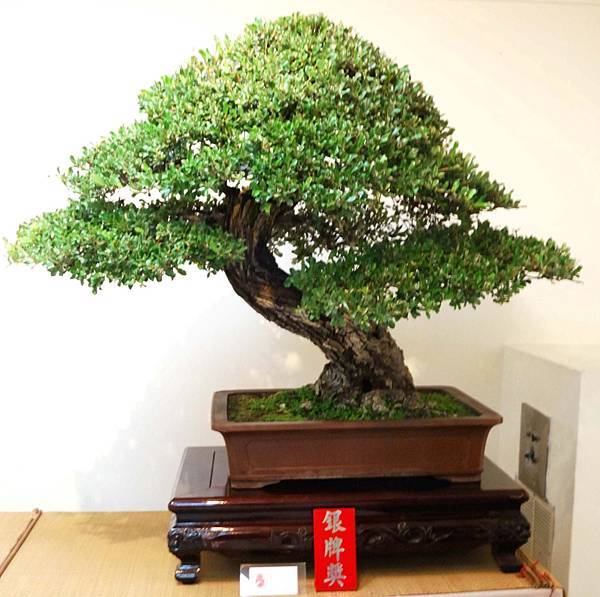 DSC_7040.jpg DSC_7040.jpg