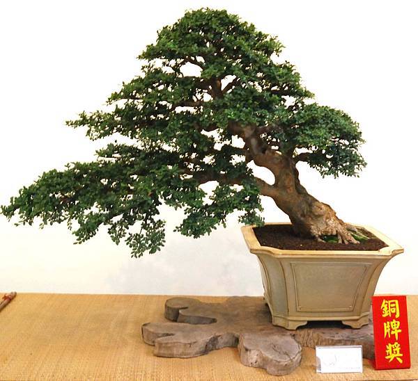 DSC_7044.jpg DSC_7044.jpg