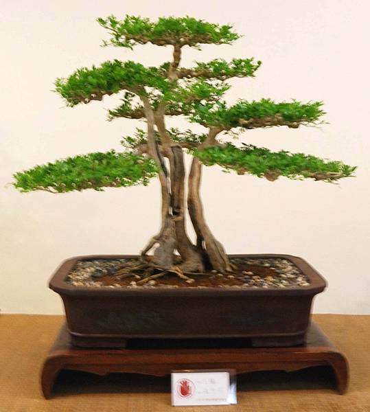 DSC_7048.jpg DSC_7048.jpg