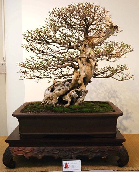 DSC_7050.jpg DSC_7050.jpg