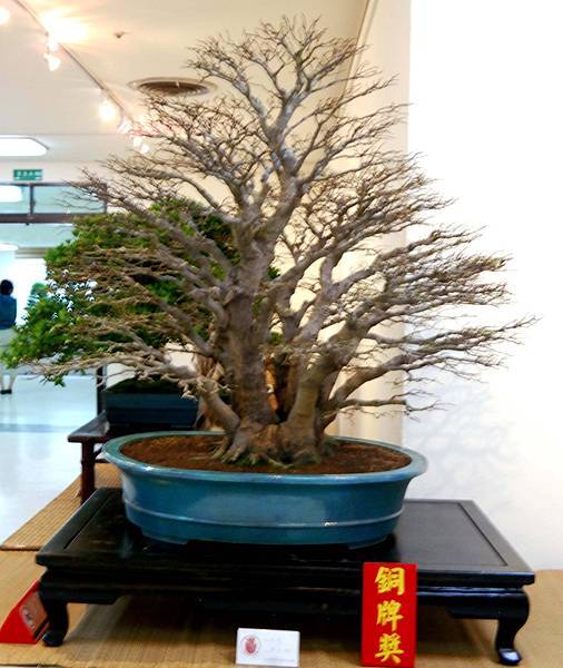 DSC_7052.jpg DSC_7052.jpg