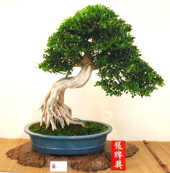 DSC_7056.jpg DSC_7056.jpg