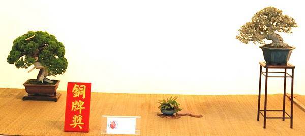 DSC_7060.jpg DSC_7060.jpg