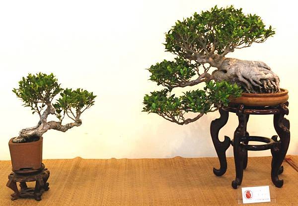 DSC_7058.jpg DSC_7058.jpg