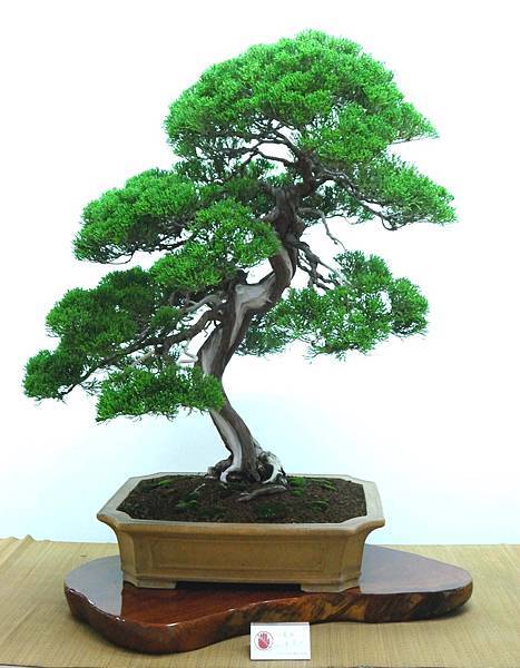 DSC_7062.jpg DSC_7062.jpg