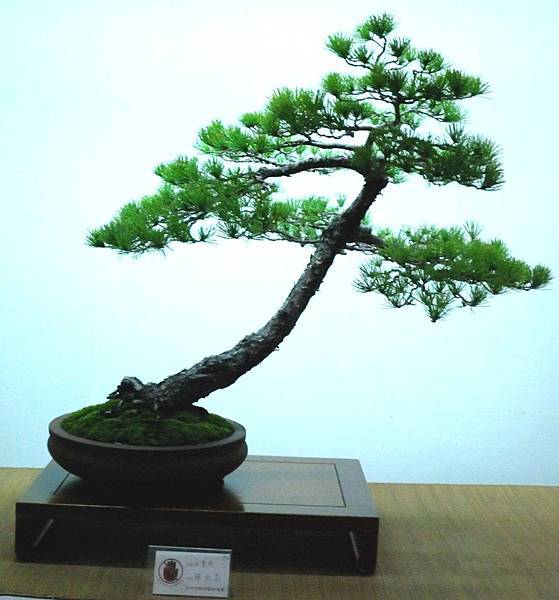 DSC_7067.jpg DSC_7067.jpg