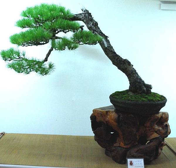 DSC_7064.jpg DSC_7064.jpg