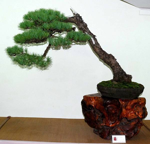 DSC_7070.jpg DSC_7070.jpg