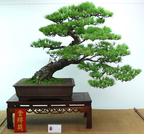 DSC_7072.jpg DSC_7072.jpg